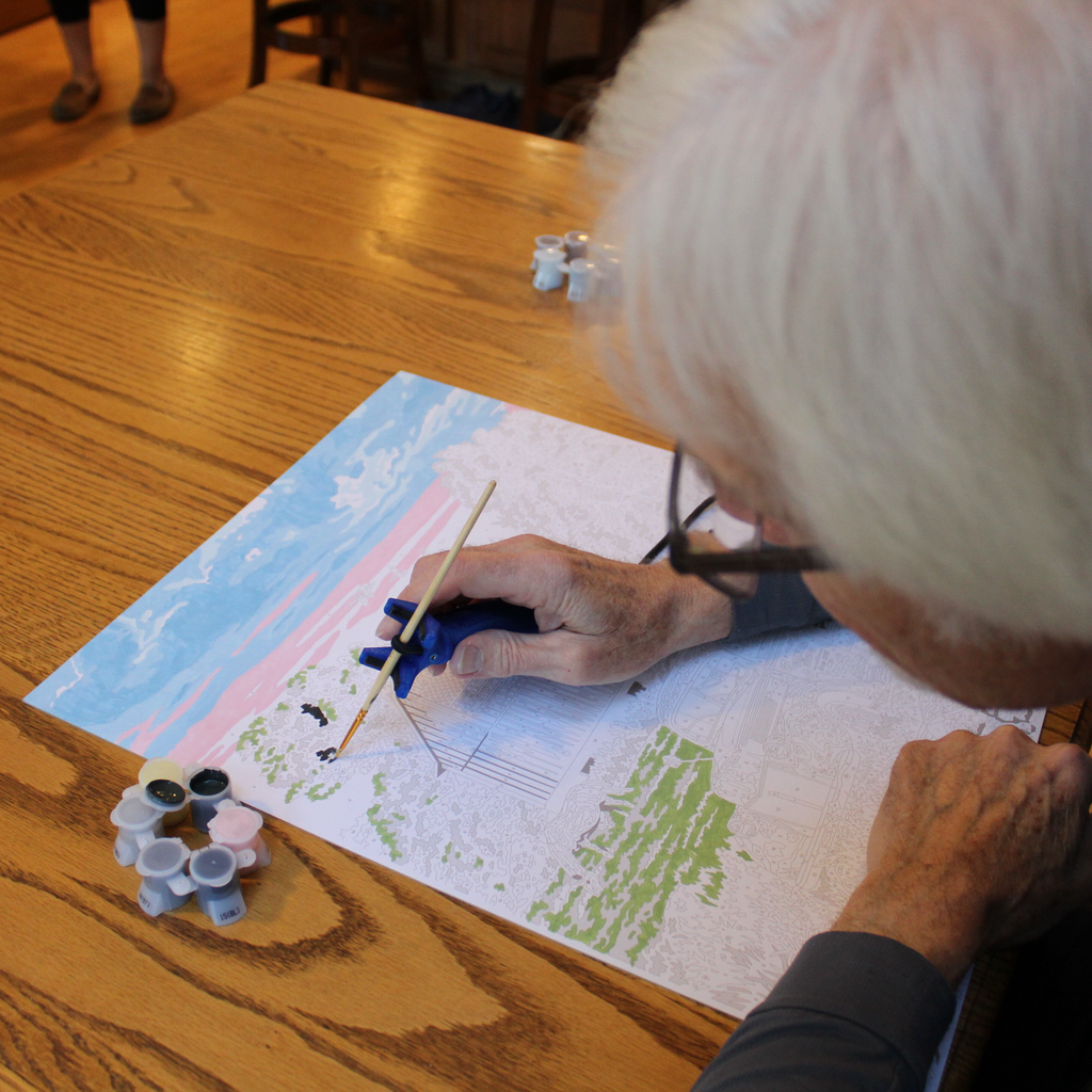 elderly painting using functionalhand
